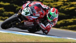 Giugliano fait briller sa Ducati lors des essais.