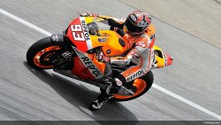 Marquez commence fort en Moto GP.