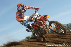 <A name="herlingsmxdn12">Herlings, l'autre grand bonhomme du MX des Nations 2012</A>