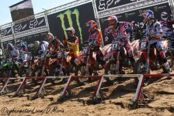 MX2 royal