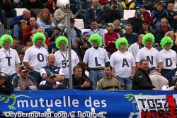 Perruques vertes