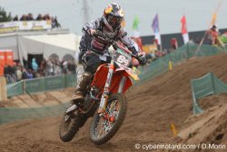 <A name="herlingslommel11">Jeffrey Ier, Roi du sable</A>