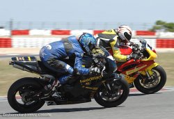 Surprenant Loiseau en supersport