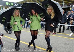 Girls du GP d'Assen 2011