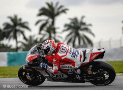 Dovi première Ducati